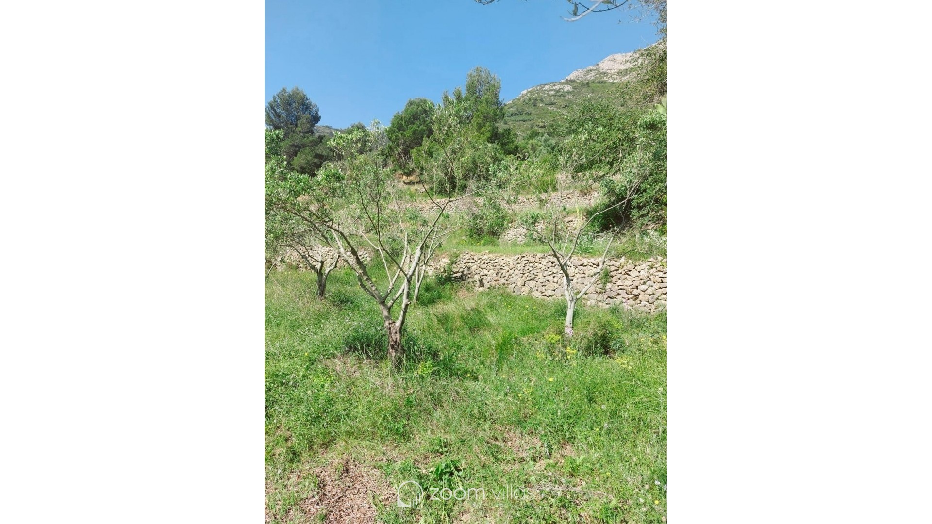 Wiederverkauf - Grundstück - Jalón - Bernia