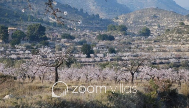 Reventa - Finca - Relleu - Interior