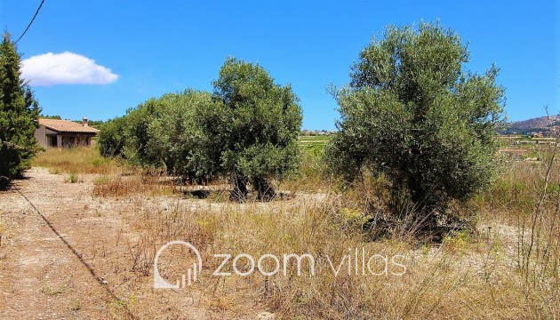 Revente - Maison de campagne / finca - Teulada - Campo