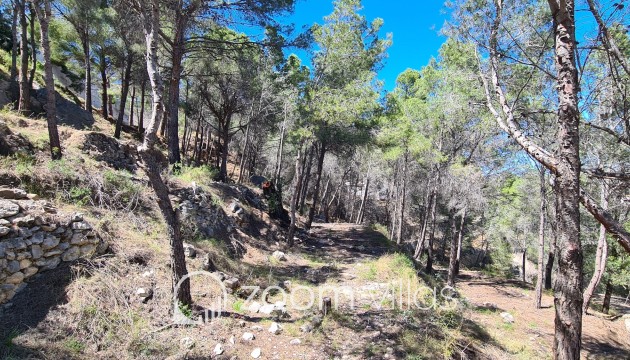 Wiederverkauf - Grundstück - Calpe