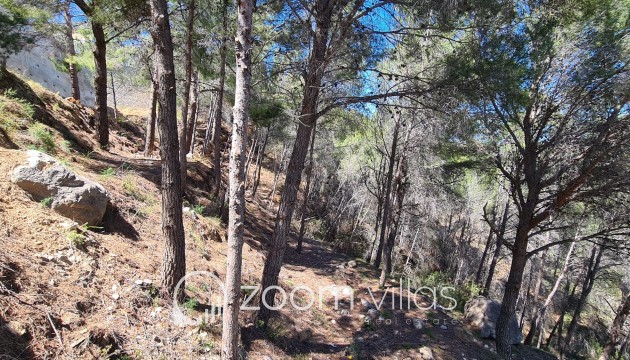 Revente - Parcelle / Terrain - Calpe