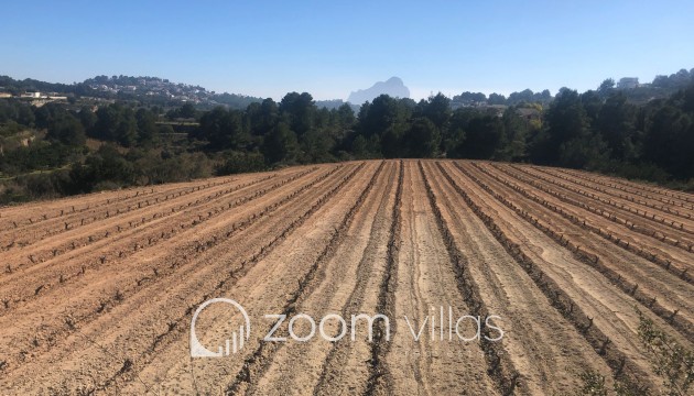 Revente - Parcelle / Terrain - Benissa