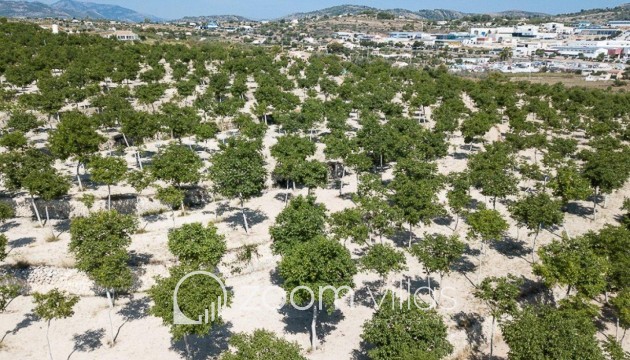 Resale - Plot / Land - Benissa