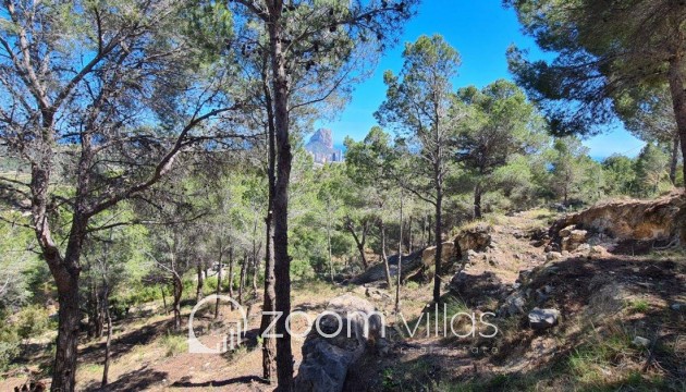 Revente - Parcelle / Terrain - Calpe