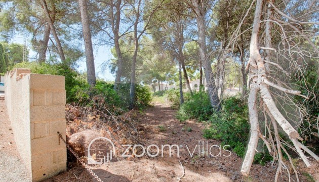 Resale - Plot / Land - Benissa