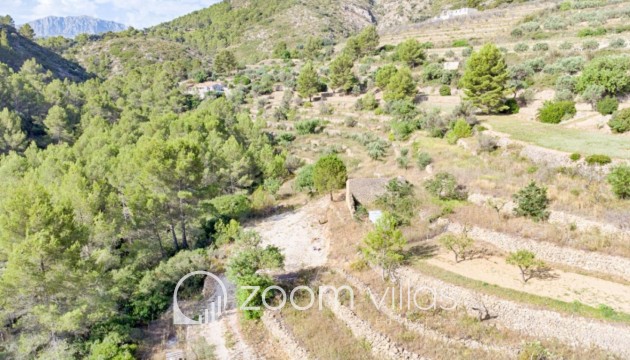 Revente - Parcelle / Terrain - Jalón - Bernia