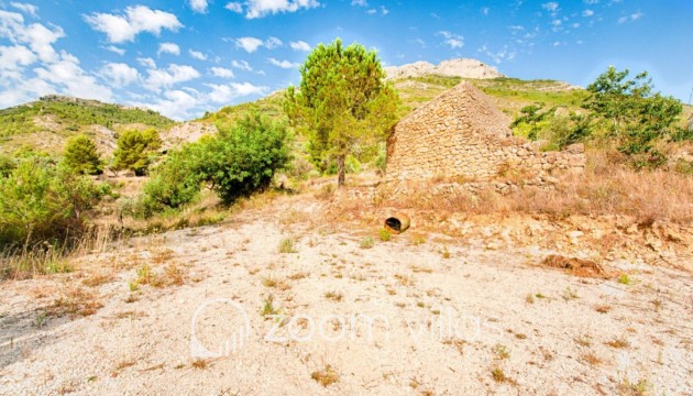 Wiederverkauf - Grundstück - Jalón - Bernia