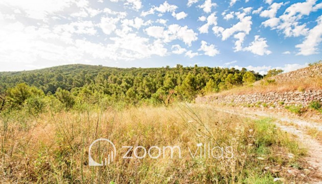 Resale - Plot / Land - Jalón - Bernia