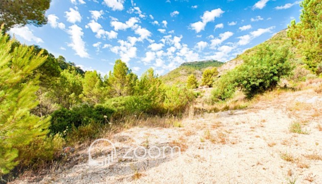 Resale - Plot / Land - Jalón - Bernia