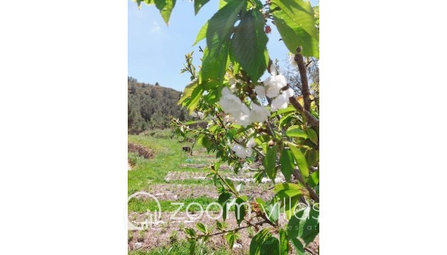 Reventa - Parcela / Terreno - Jalón - Bernia