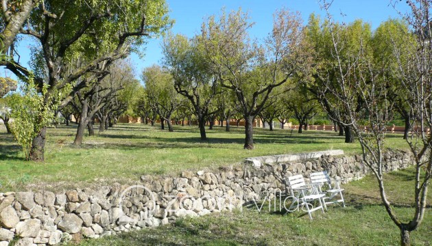 Nueva construcción  - Villa - Pedreguer