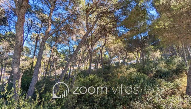 Nieuwbouw - Villa - Moraira - San jaime