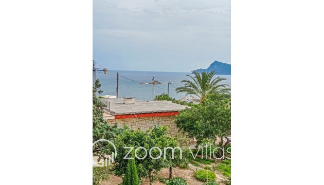 Revente - Immobilier commercial - Altea - Mascarat