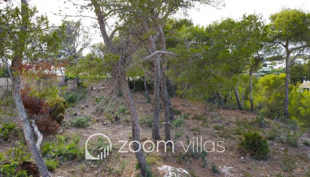 Revente - Parcelle / Terrain - Jávea - Balcon al Mar