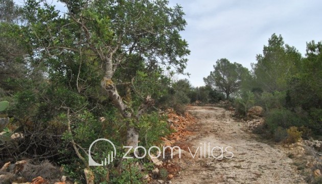 Revente - Parcelle / Terrain - Benissa - Campo