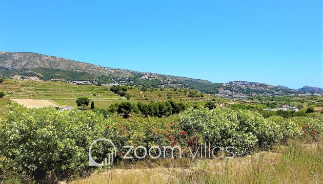 Nouvelle construction - Maison de campagne / finca - Teulada - Campo