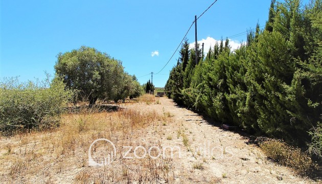 New Build - Finca - Teulada - Campo