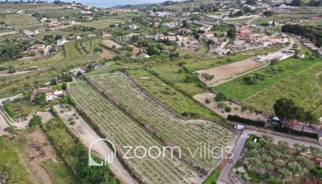 Nouvelle construction - Maison de campagne / finca - Teulada - Benimarco