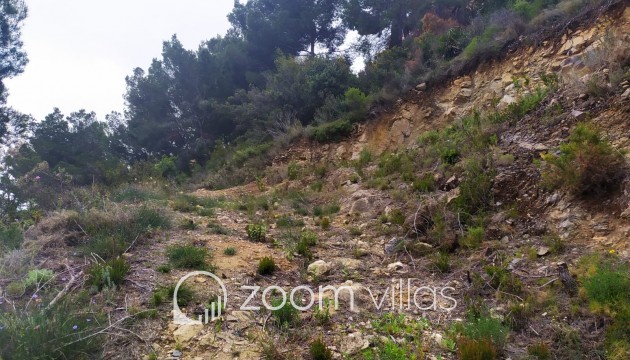 Wiederverkauf - Grundstück - Calpe