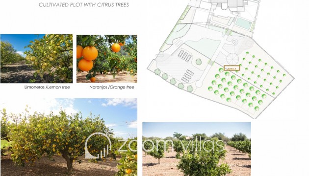 New Build - Villa - Altea - Jardines de Alhama