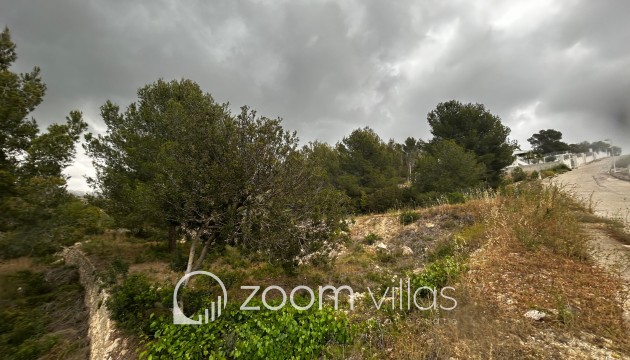 Wiederverkauf - Grundstück - Calpe