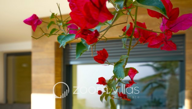Reventa - Apartamento - Benitachell - Cumbre del sol