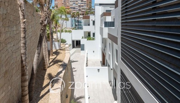 Neubau - Wohnung - Benidorm