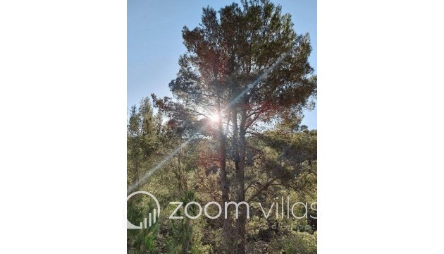 Resale - Villa - Jalón